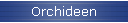 Orchideen