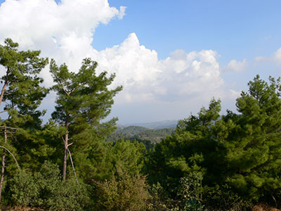 Flora & Fauna der Insel Rhodos