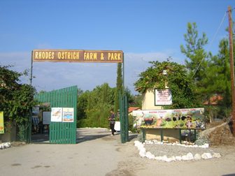 Straussenfarm auf Rhodos